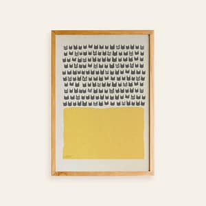 Shadow Medicine Package